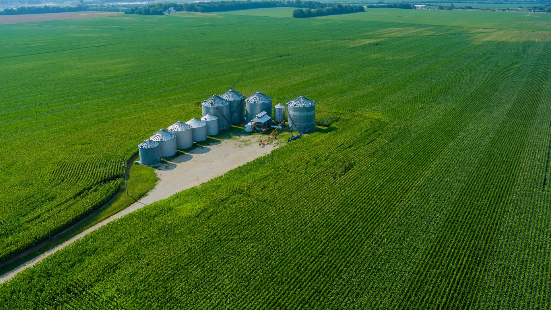 Biochar e biocarvão: como esse material transforma o solo e combate as mudanças climáticas
