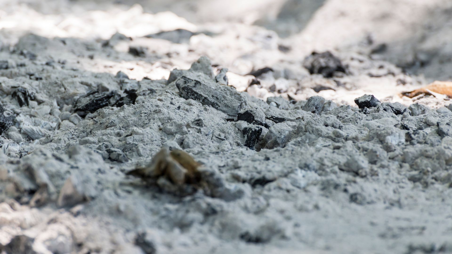 Mercado global de biochar cresce e deve alcançar US$ 136 milhões até 2033