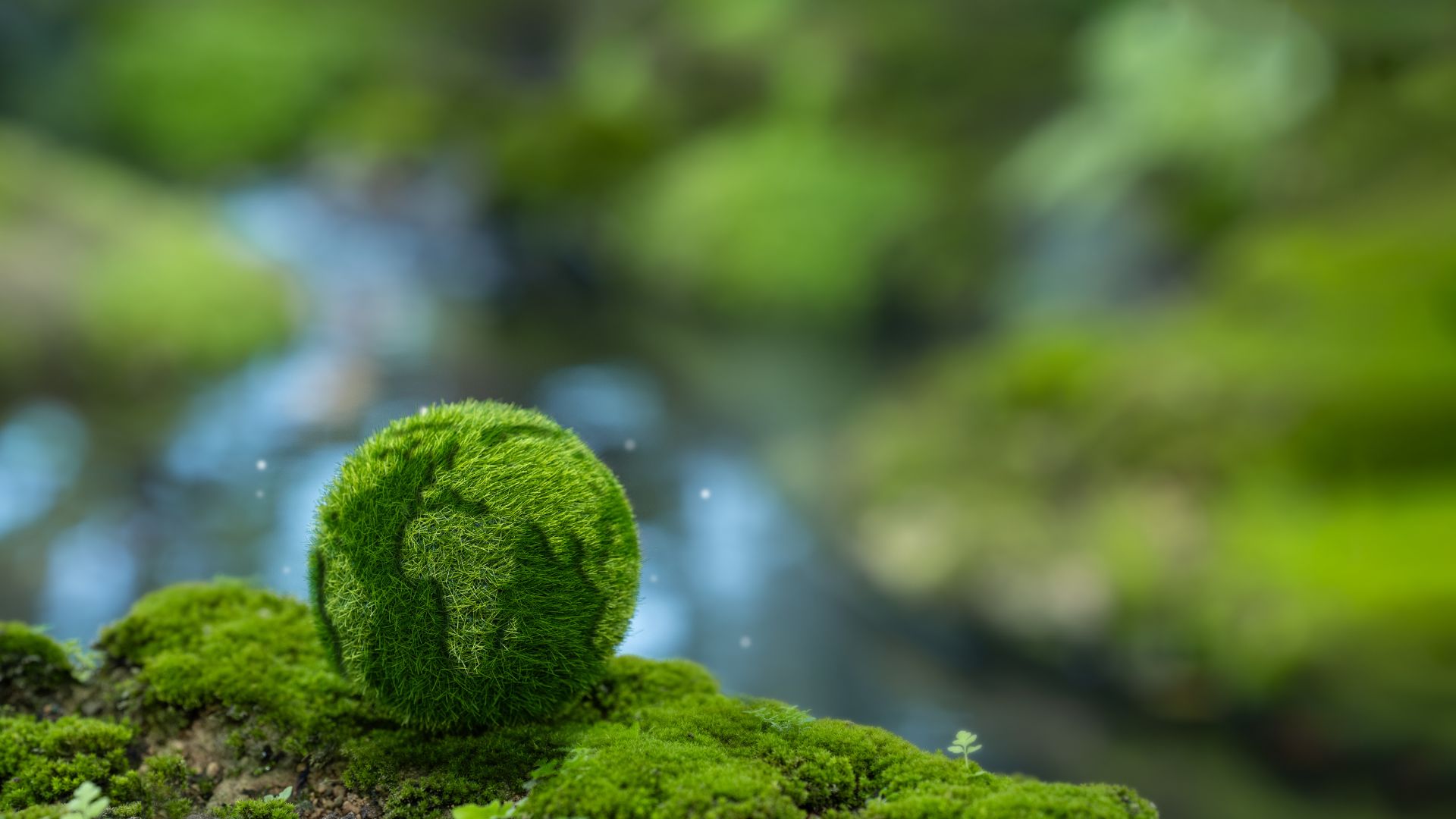 Mercado voluntário de carbono no Brasil: contribuições e aprendizados da consulta pública do BNDES